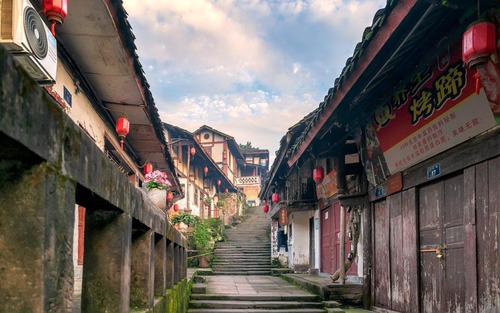 红树林逃生