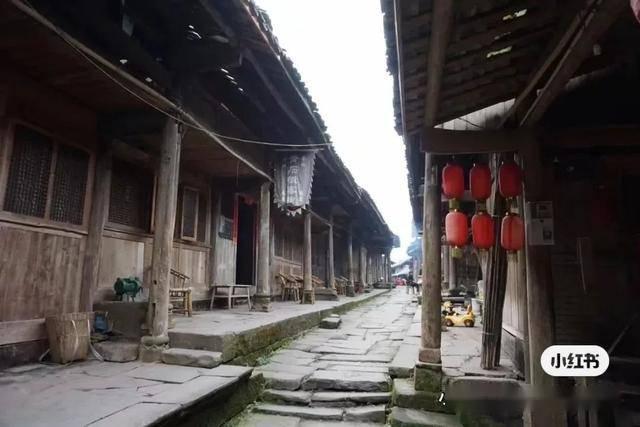 无休止的树